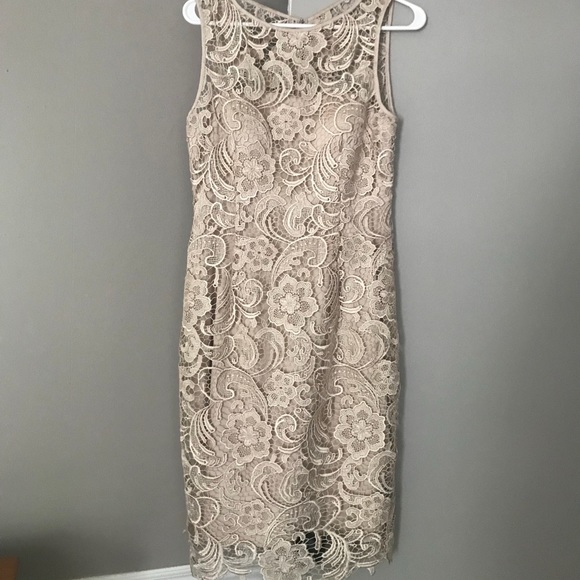 tuckernuck guipure lace daphne dress Daphne Dress in Tea Green Lace 0 main image 1